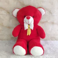 خب ای شاسخین