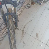 دوچرخه 24|دوچرخه، اسکیت، اسکوتر|بندرعباس, |دیوار