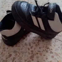 کفشهای درحد نو و تمیز بدون کوچیکترین ایراد|کیف، کفش، کمربند|اهر, |دیوار