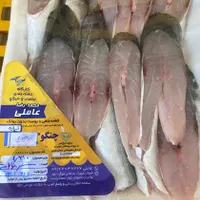 کارگر ساده جهت پاک کردن و قطعه بندی ماهی و میگو|استخدام خدمات فروشگاه و رستوران|شیراز, شهرک صنعتی شیراز|دیوار