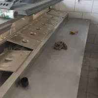 فرپیتزا تاپینگ مجملی تاپینگ ساندویچ چرخ گوشت صنعتی|کافی‌شاپ و رستوران|اصفهان, شاهزاده ابراهیم|دیوار