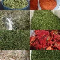 سبزی عمده،گوجه، پودر سیروپیازباکیفیت زیرقیمت بازار