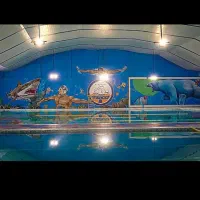 آموزش شنا مبتدی تا پیشرفته|خدمات آموزشی|مشهد, سرافرازان|دیوار