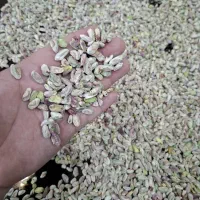 نیروی کار ساده