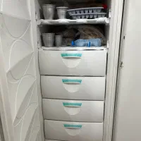 یخچال دوقلو پارس