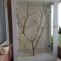 قفس قتاری و پرنده ها زینتی