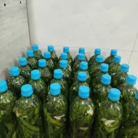 خیارشور|خوردنی و آشامیدنی|روانسر, |دیوار