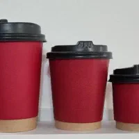 عمده ظروف یکبار مصرف پلاستیکی  کاغذی  پت