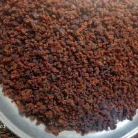 کشمش پلویی