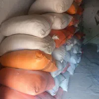 کپک