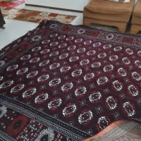 فرش 9متری لاکی|فرش|پردیس, فاز ۱۱|دیوار