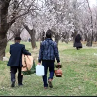 گردش شب گردی