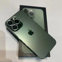 13 pro