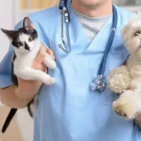 استخدام خانم در کلینیک حیوانات خانگی