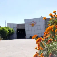 کارگر ساده آقا