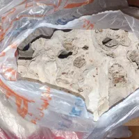 وسایل اکواریوم|ماهی|اهواز, سپیدار|دیوار