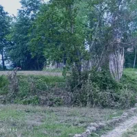 تهاتر زمین جواز دار