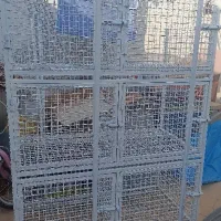 کبوتر|پرنده|شیراز, پشم شیشه|دیوار