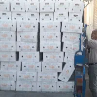 پخش عمده زنجبیل و زرد چوبه به قیمت میدان تره بار|عمده‌فروشی|شیراز, عادل آباد|دیوار