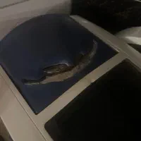 سرخ کن تفال|اجاق گاز و لوازم برقی پخت‌وپز|تهران, سازمان برنامه جنوبی|دیوار