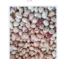 لوبیا چیتی بذر خمین