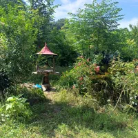 اجاره ویلاباغ دوخواب حیاط بزرگ دربست باامکانات|اجارهٔ کوتاهمدت ویلا و باغ|ماسال, |دیوار