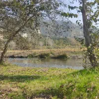 فروش زمین مسکونی با چشم انداز بی نظیر