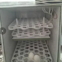 دستگاه جوجه کشی 168 تایی مرغ و بلدرچین و...|لوازم جانبی حیوانات|بیرجند, |دیوار