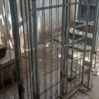 قفس سگ یا هر حیوانی توری قوی دیوار فلزی چرخدار|لوازم جانبی حیوانات|کرج, گلستان|دیوار