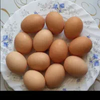 تخم مرغ خانگی
