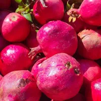 انار سوپر|خوردنی و آشامیدنی|تهران, آشتیانی|دیوار