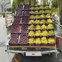 وانت مدل 88|خودرو سواری و وانت|سنندج, |دیوار