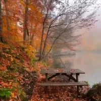 ۷۰متر*تکواحدی*طبقه اول*سرمایه‌گذاری مطمئن