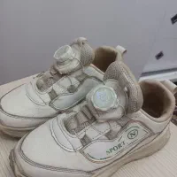 کفش|کیف، کفش، کمربند|میانه, |دیوار