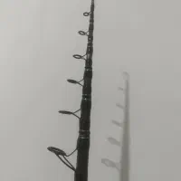 لنسر ماهیگیری