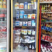 یخچال ویترینی تک درب مشکی دور طلایی عرض ۷۰|فروشگاه و مغازه|نیشابور, هفده شهریور|دیوار