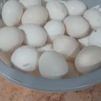 مواد غذایی صلواتی