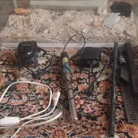 آکواریوم دلسا سفید|ماهی|پاکدشت, پاکدشت (مامازند)|دیوار