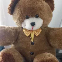 عروسک خرسی قهوه ای|اسباببازی|ساری, |دیوار