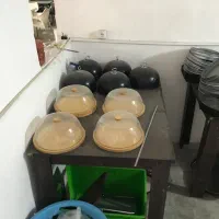 فروش لوازم به صورت تکی و یکجا|کافیشاپ و رستوران|گرگان, |دیوار