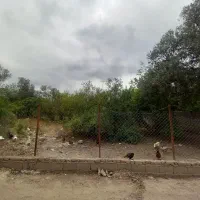 زمین-آث-و-بکر-خوش-قیمت-دارای-سند