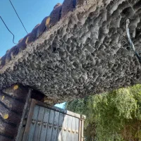 پلاستر طرح دارنرمه کشی شیب بندی شل یاکاهگل مالی|خدمات پیشه و مهارت|بندر گناوه, |دیوار