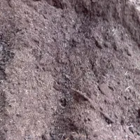 کود گوسفندی