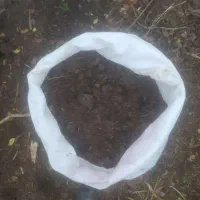 خاک سیاه و پوسیده چند ساله