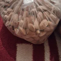 گردو و بادام|خوردنی و آشامیدنی|سراوان, |دیوار