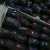 خرما مضافتی بم