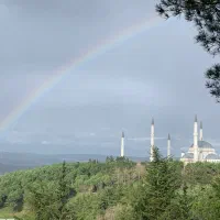 صدف-فاز-7-فول-مشاعات