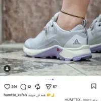 کفش humtto|کیف، کفش، کمربند|شیراز, ملاصدرا|دیوار