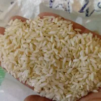 برنج چمچمال