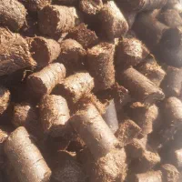 باگاس کاه نیشکر